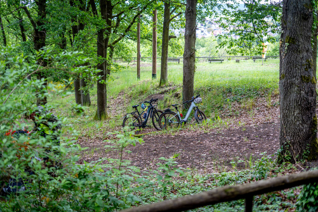 Blick auf die Wiese des Kühbergs, im Vordergrund wurden zwei Fahrräder abgestellt