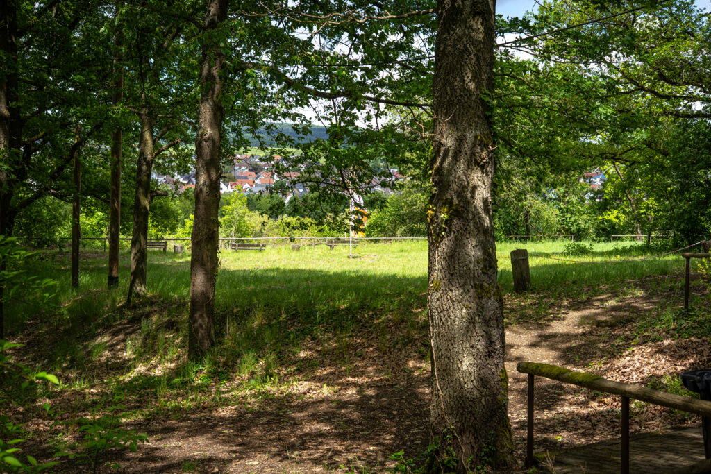 Blick auf die Wiese des Kühbergs im Hintergrund weht eine Benediktiner Fahne auf der Wiese